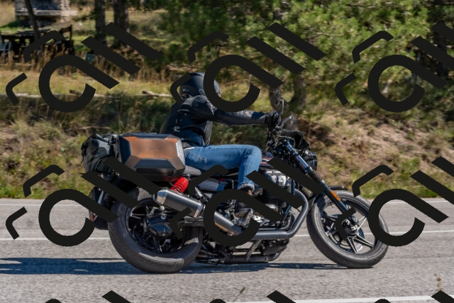 202510041227-DSC_6532_c4_