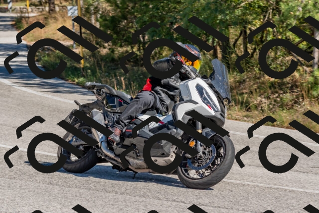 202510041228-DSC_6549_c4_