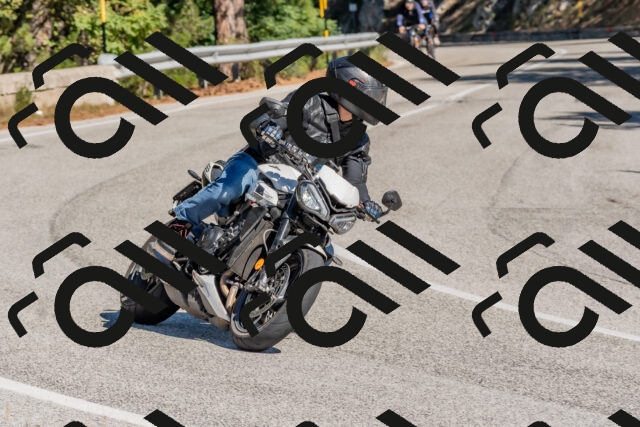 202510041228-DSC_6551_c4_