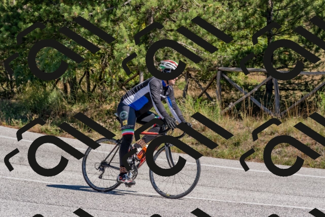 202510041229-DSC_6556_c4_