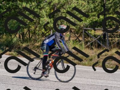 202510041229-DSC_6556_c4_