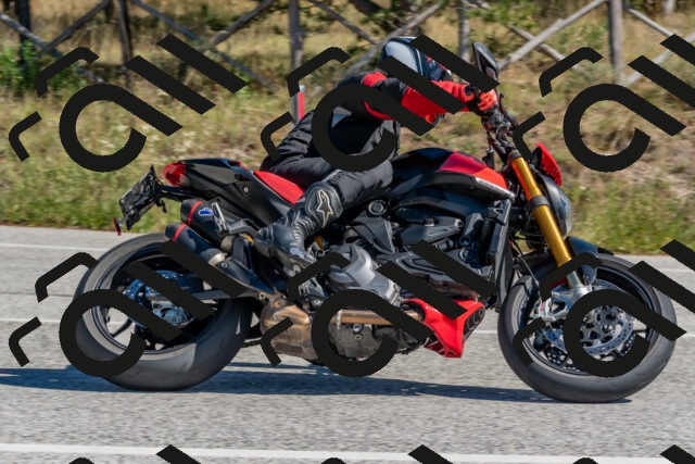 202510041229-DSC_6563_c4_