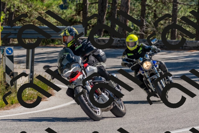 202510041230-DSC_6565_c4_