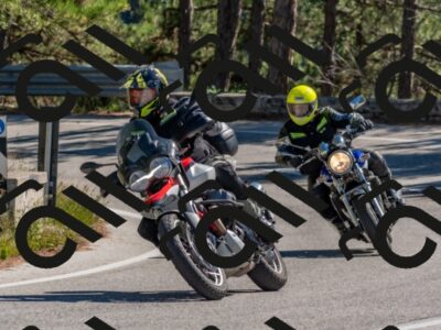 202510041230-DSC_6565_c4_