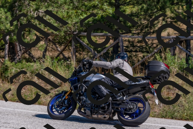 202510041236-DSC_6579_c4_