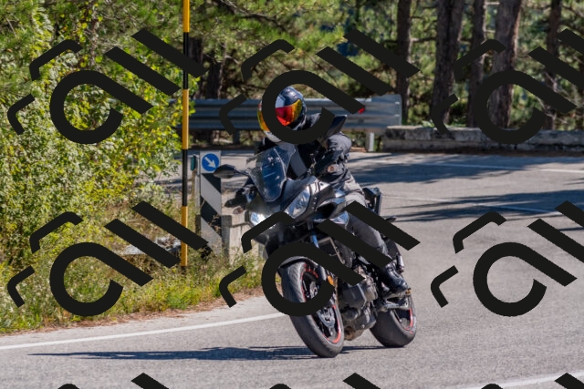 202510041237-DSC_6597_c4_