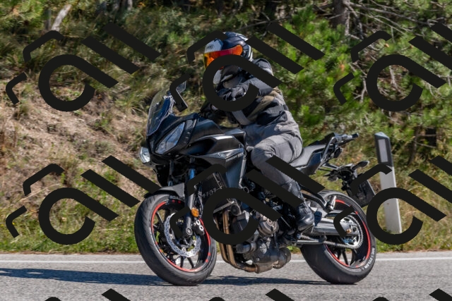 202510041237-DSC_6598_c4_