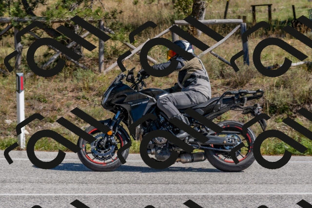 202510041237-DSC_6599_c4_