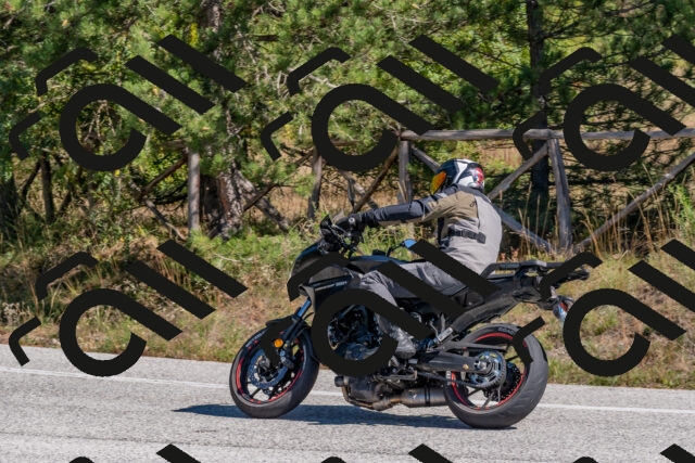 202510041237-DSC_6600_c4_