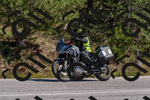 202510041237-DSC_6604_c4_