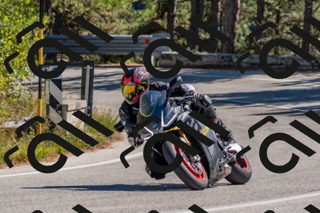 202510041240-DSC_6625_c4_