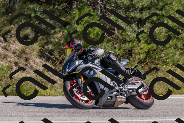 202510041240-DSC_6626_c4_