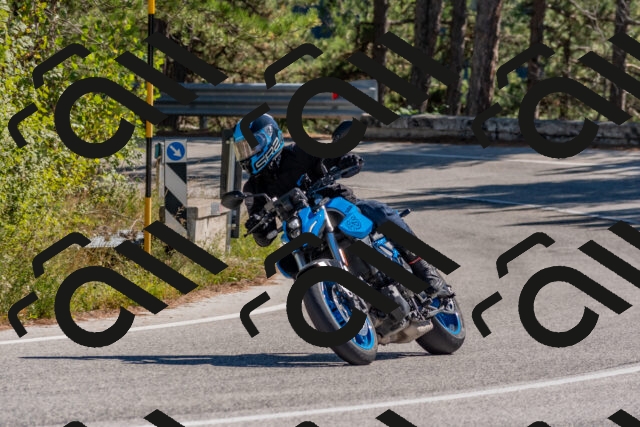 202510041242-DSC_6629_c4_