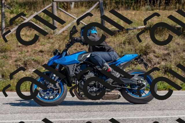 202510041242-DSC_6631_c4_