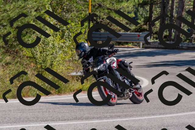 202510041246-DSC_6634_c4_