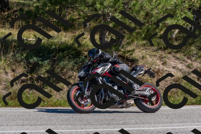 202510041246-DSC_6635_c4_