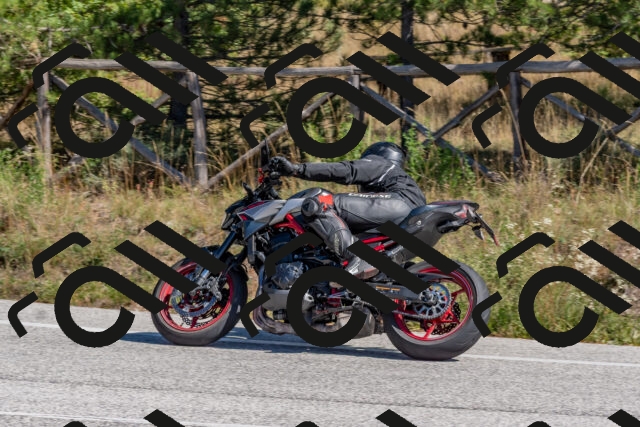 202510041246-DSC_6636_c4_