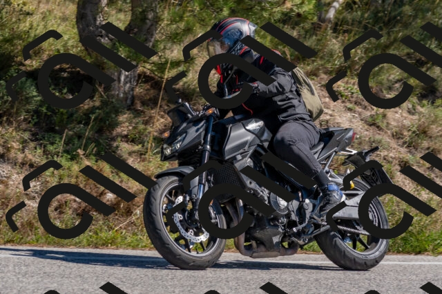 202510041248-DSC_6640_c4_