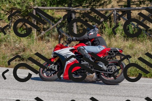 202510041249-DSC_6647_c4_