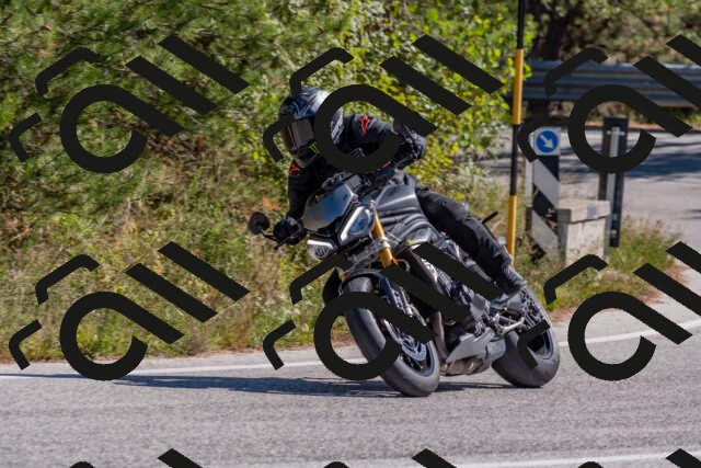 202510041256-DSC_6655_c4_