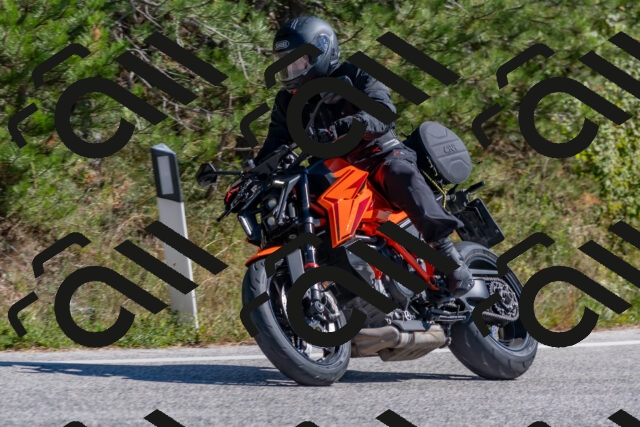 202510041256-DSC_6658_c4_