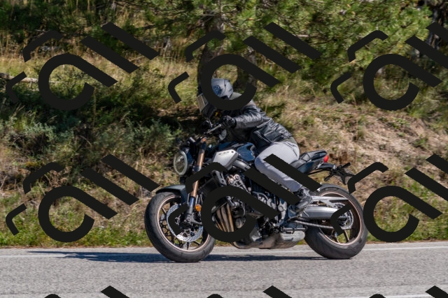 202510041256-DSC_6660_c4_