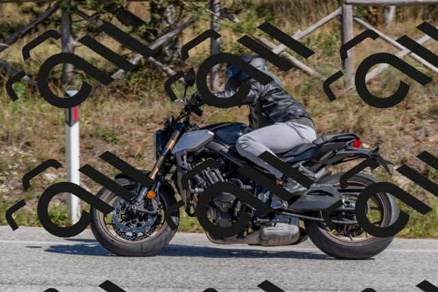 202510041256-DSC_6661_c4_