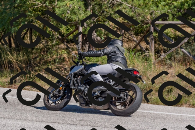 202510041256-DSC_6662_c4_