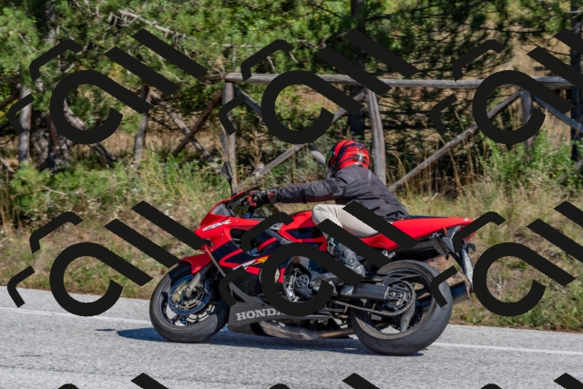 202510041300-DSC_6670_c4_