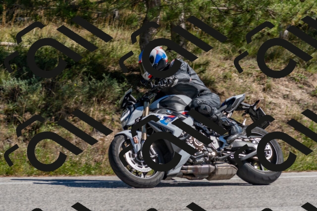 202510041300-DSC_6675_c4_