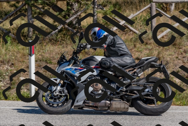 202510041300-DSC_6676_c4_