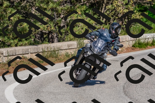 202510041300-DSC_6678_c4_