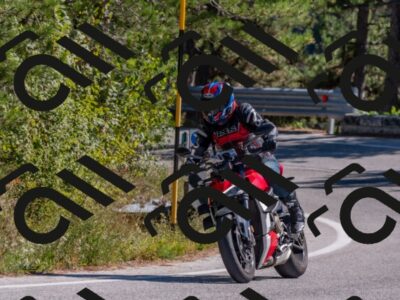 202510041301-DSC_6685_c4_