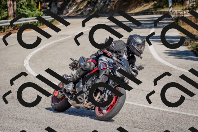 202510041302-DSC_6688_c4_