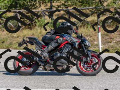 202510041302-DSC_6689_c4_