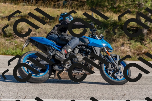 202510041303-DSC_6694_c4_