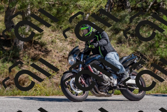 202510041303-DSC_6696_c4_