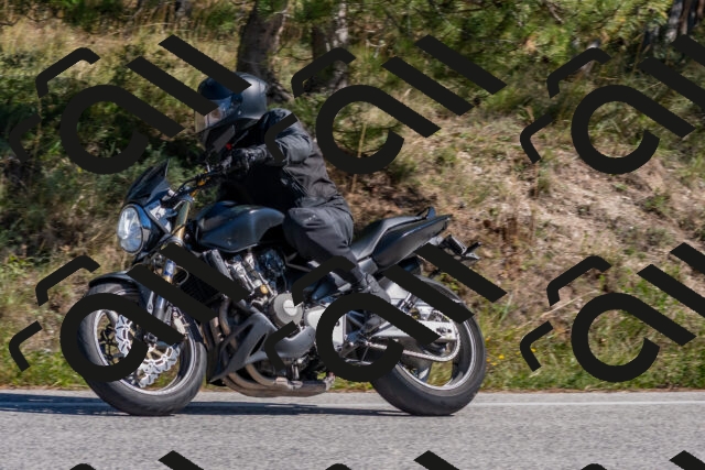 202510041303-DSC_6697_c4_