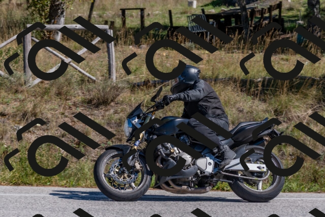 202510041303-DSC_6698_c4_