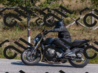 202510041303-DSC_6699_c4_