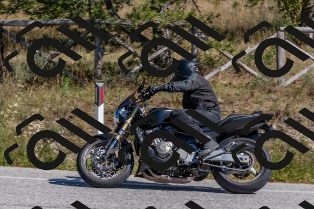 202510041303-DSC_6699_c4_