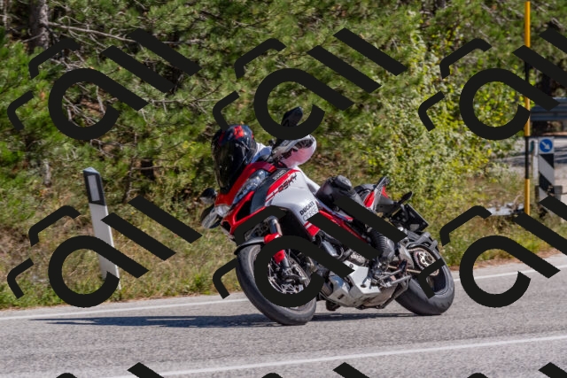 202510041304-DSC_6701_c4_