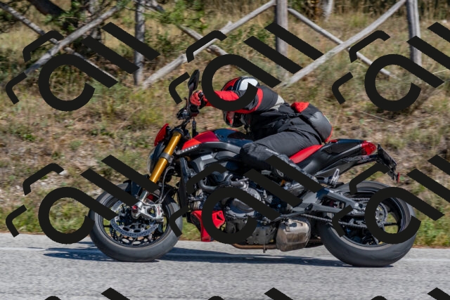 202510041305-DSC_6704_c4_