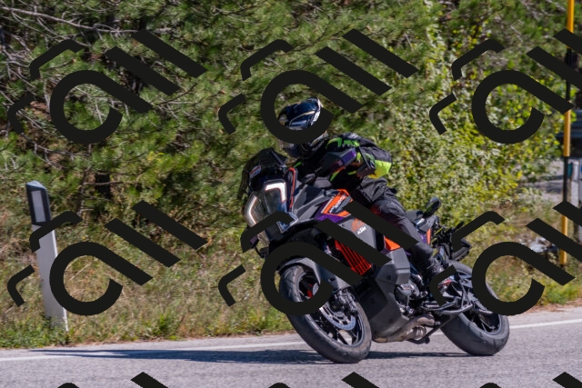 202510041305-DSC_6705_c4_