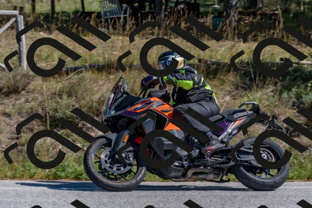 202510041305-DSC_6706_c4_