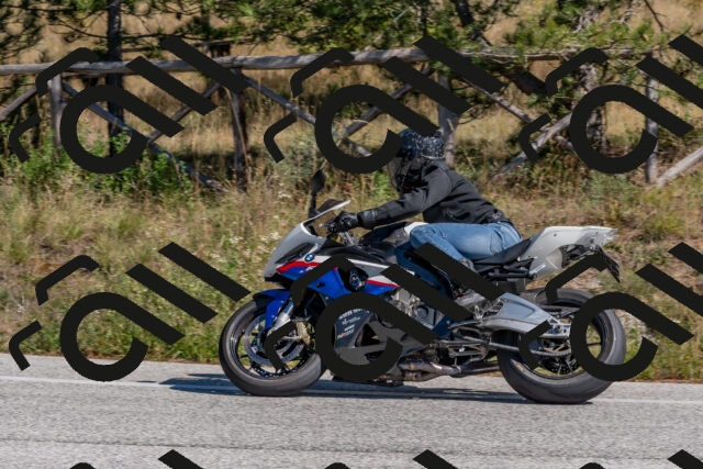 202510041305-DSC_6719_c4_