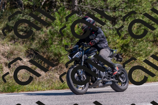 202510041307-DSC_6720_c4_