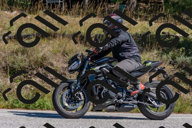 202510041308-DSC_6721_c4_