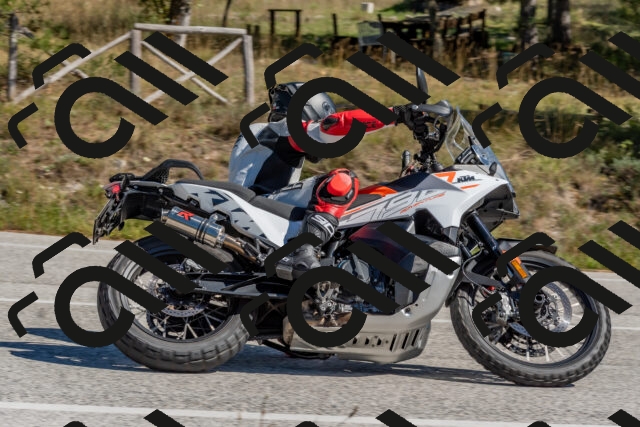 202510041308-DSC_6726_c4_