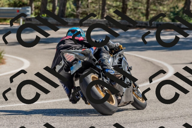 202510041309-DSC_6730_c4_